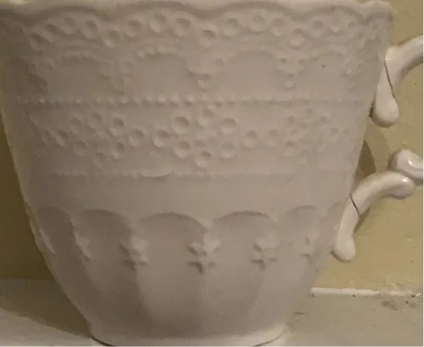 Antique Floral Spode Jewel Copeland Cup & Saucer