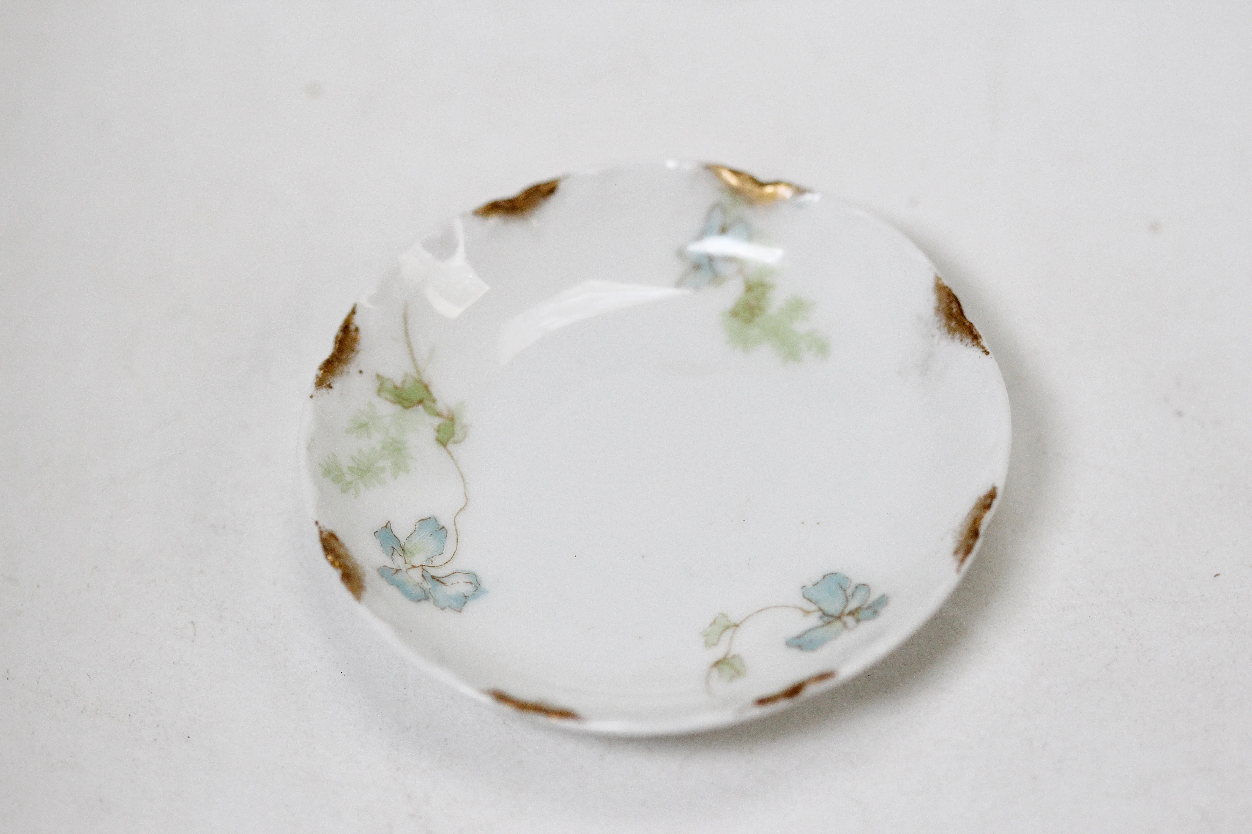 Limoges Haviland Floral Porcelain Dish