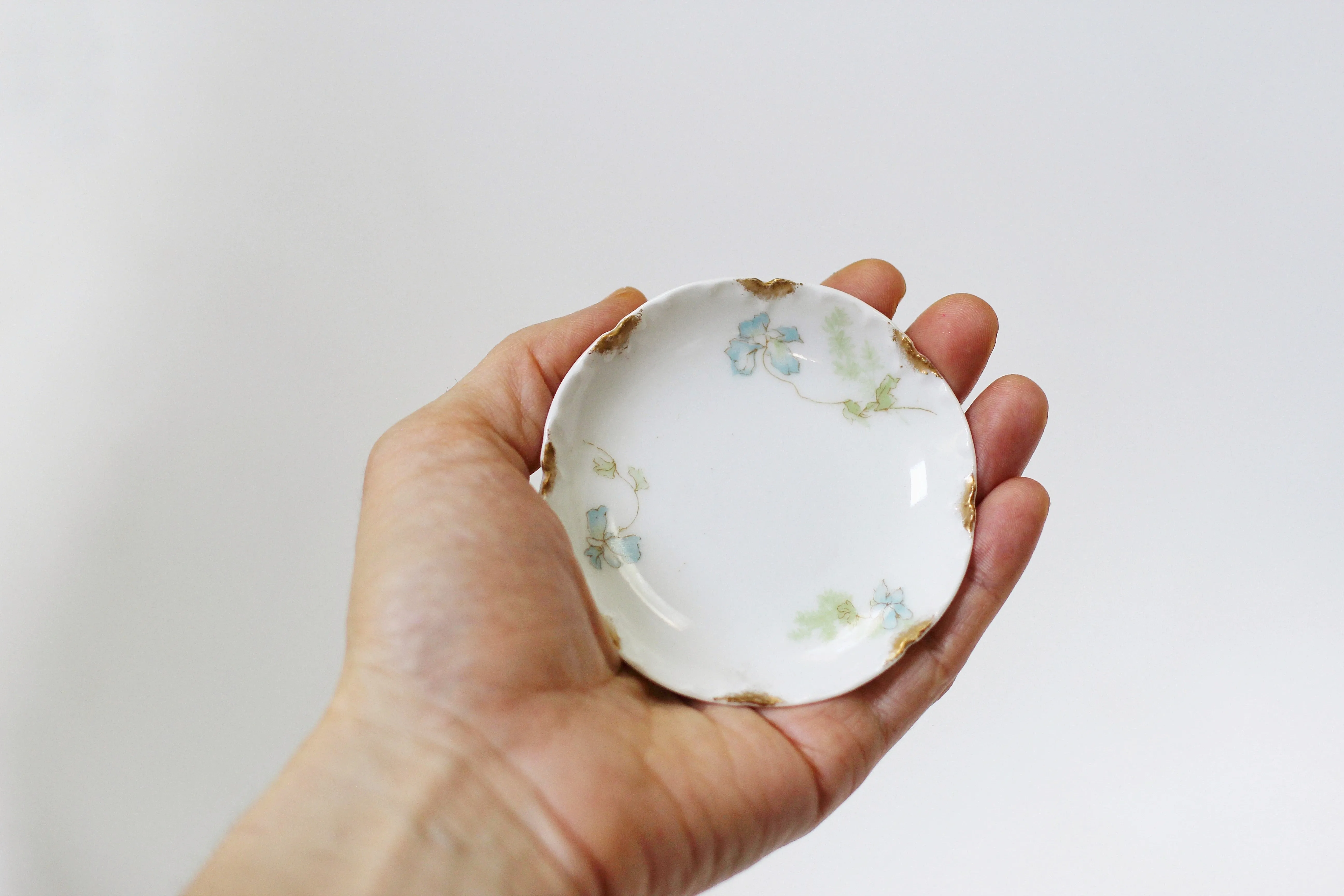 Limoges Haviland Floral Porcelain Dish