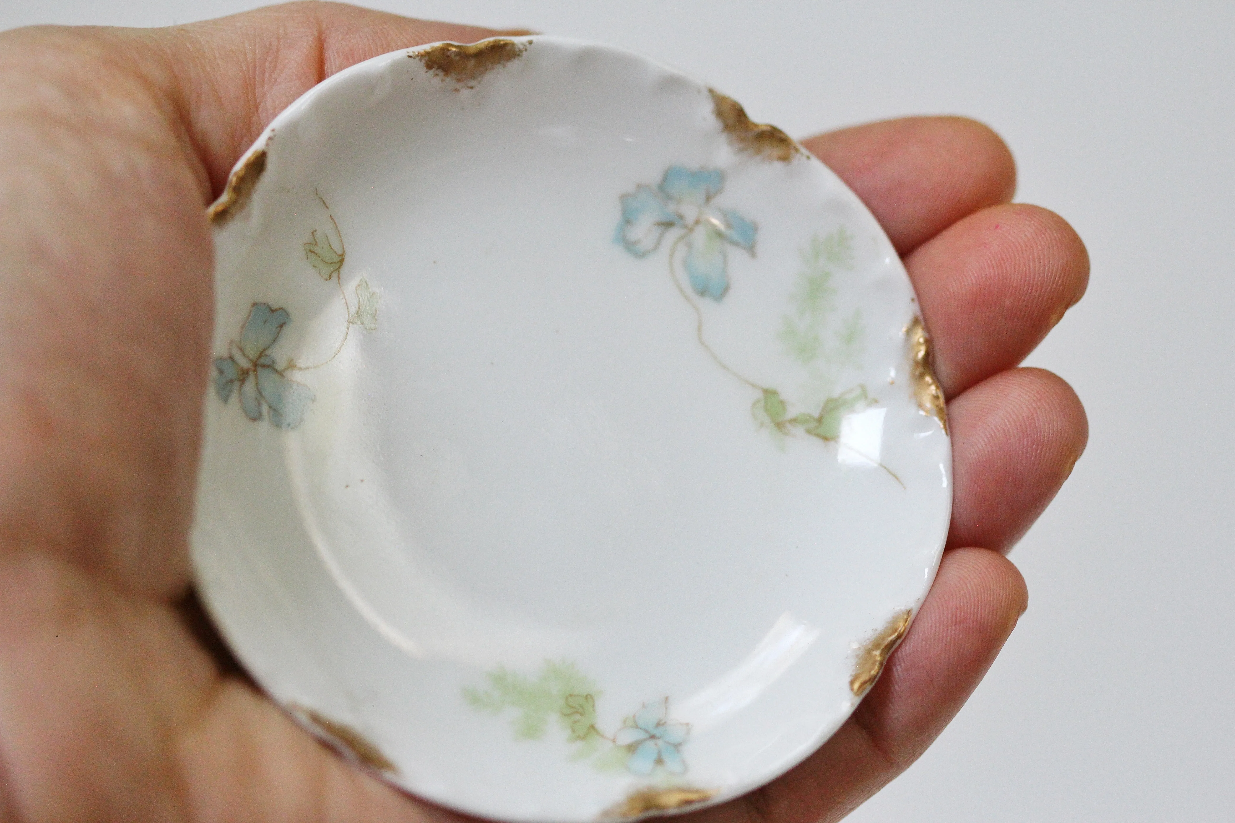 Limoges Haviland Floral Porcelain Dish